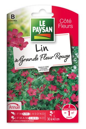 LIN - A GRANDE FLEUR ROUGE