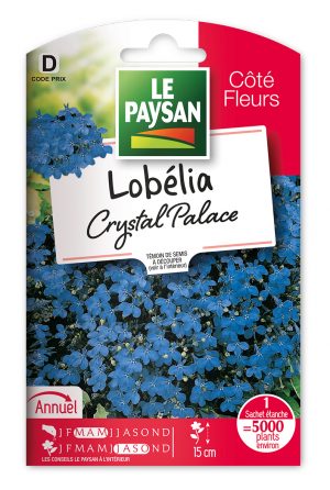 LOBELIA - CRYSTAL PALACE