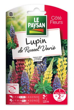 LUPIN - DE RUSSEL VARIE