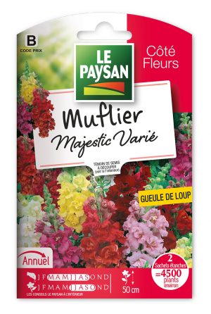 MUFLIER - MAJESTIC VARIE