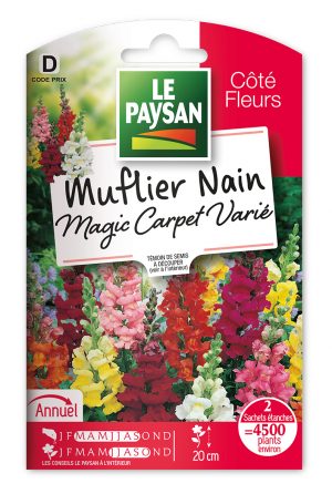 MUFLIER - NAIN MAGIC CARPET VARIÉ