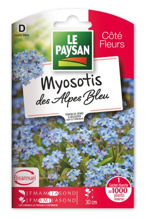 MYOSOTIS - DES ALPES BLEU