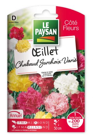 OEILLET CHABAUD - SURCHOIX VARIE