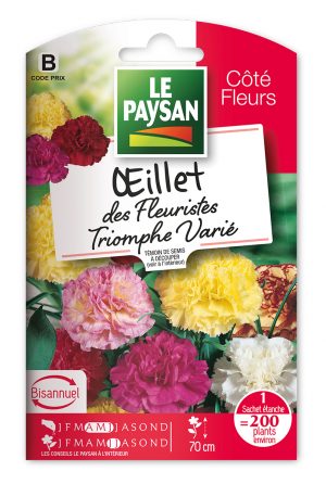 OEILLET DES FLEURISTES - TRIOMPHE VARIE