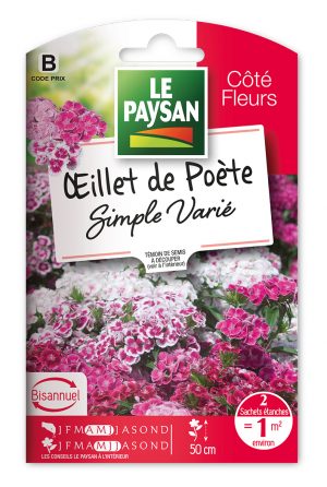 OEILLET DE POETE - SIMPLE VARIE