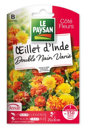 OEILLET D'INDE - DOUBLE NAIN VARIE