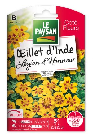 OEILLET D'INDE - LEGION D'HONNEUR