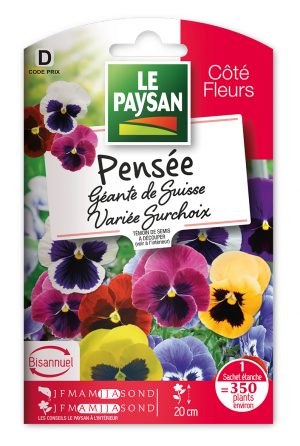 PENSEE - GEANTE DE SUISSE VARIEE SURCHOIX