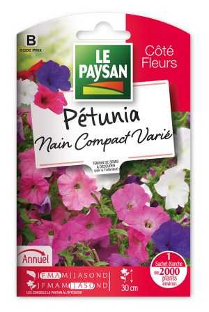 PETUNIA NAIN - COMPACT VARIE