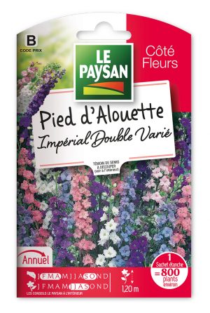PIED D' ALOUETTE - IMPERIAL DOUBLE VARIE