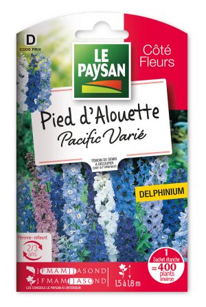 PIED D' ALOUETTE - PACIFIC VARIE