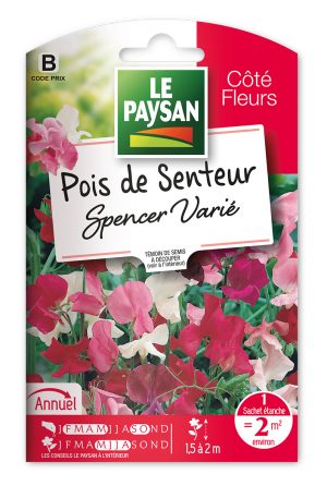 POIS DE SENTEUR - SPENCER VARIE