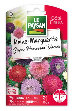 REINE-MARGUERITE - SUPER PRINCESSE VARIEE