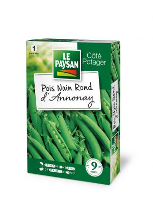 POIS NAIN - D'ANNONAY