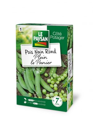POIS NAIN - PLEIN LE PANIER