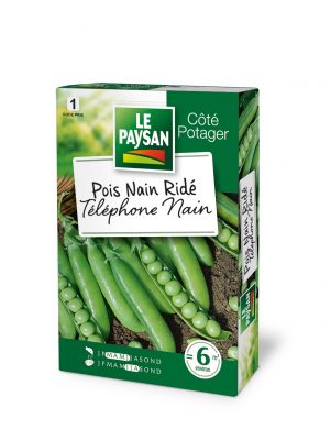 POIS NAIN - TELEPHONE NAIN