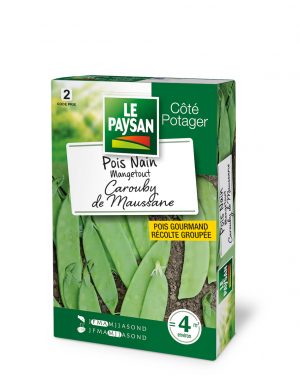 POIS NAIN - MANGETOUT CAROUBY DE MAUSSANE