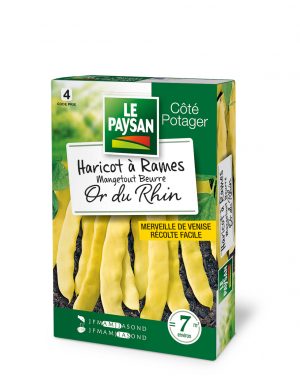 HARICOT A RAMES - MANGETOUT BEURRE OR DU RHIN (MERVEILLE DE VENISE)