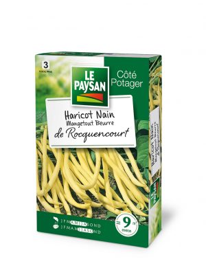 HARICOT NAIN - MANGETOUT BEURRE DE ROCQUENCOURT