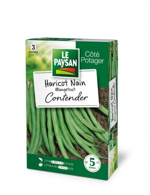 HARICOT NAIN - MANGETOUT CONTENDER