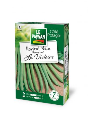 HARICOT NAIN - MANGETOUT LA VICTOIRE