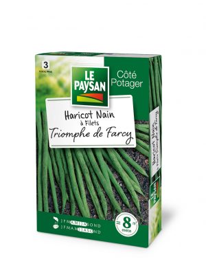 HARICOT NAIN - A FILETS TRIOMPHE DE FARCY