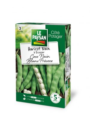 HARICOT NAIN - A ECOSSER COCO NAIN BLANC PRECOCE