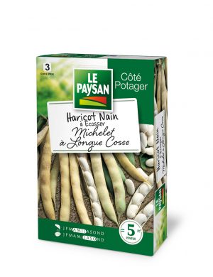 HARICOT NAIN - A ECOSSER MICHELET A LONGUE COSSE