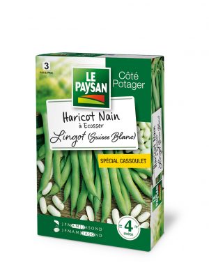 HARICOT NAIN - A ECOSSER LINGOT