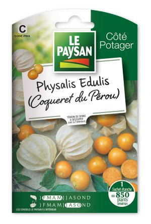 PHYSALIS EDULIS - COQUERET DU PEROU