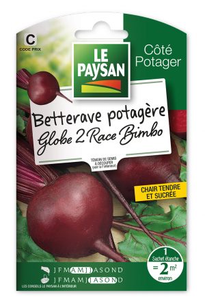 BETTERAVE - GLOBE 2 RACE BIMBO