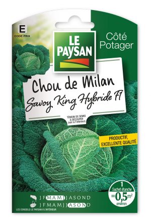 CHOU DE MILAN - SAVOY KING HYBRIDE F1