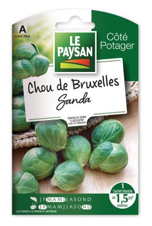 CHOU DE BRUXELLES - SANDA