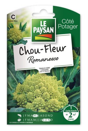 CHOU-FLEUR - ROMANESCO
