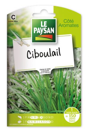 CIBOULAIL  -