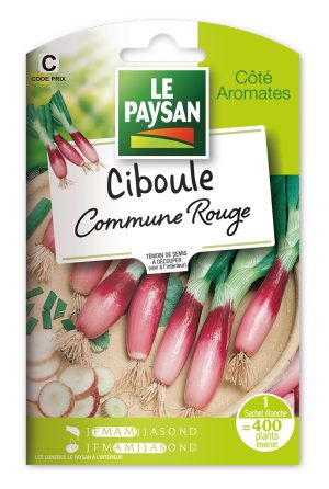 CIBOULE  - COMMUNE ROUGE