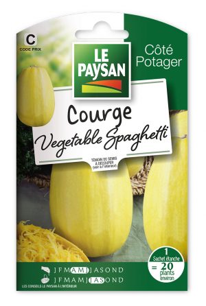 COURGE - VEGETABLE SPAGHETTI