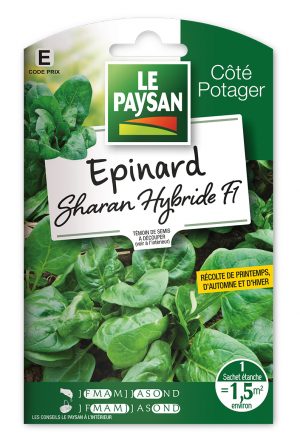 EPINARD - SHARAN HYBRIDE F1