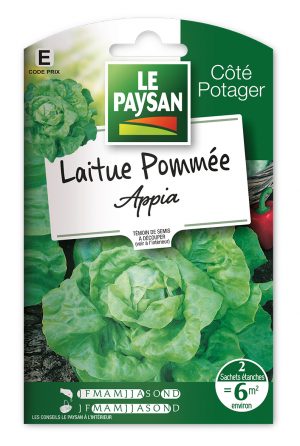 LAITUE - POMMÉE APPIA