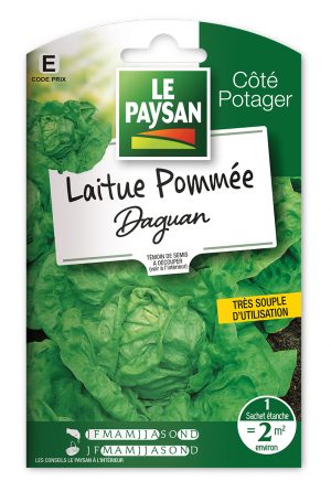 LAITUE - POMMÉE DAGUAN