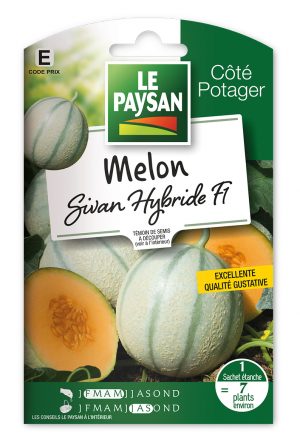 MELON - SIVAN HYBRIDE F1