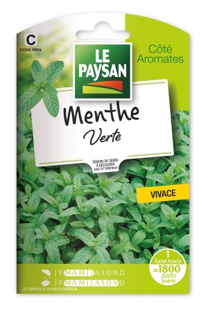 MENTHE VERTE -