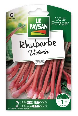 RHUBARBE - VICTORIA