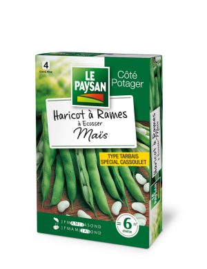 HARICOT A RAMES - A ECOSSER MAIS (TARBAIS)
