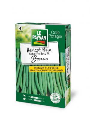 HARICOT NAIN - EXTRA-FIN SANS FIL BONUS