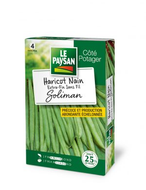 HARICOT NAIN - EXTRA-FIN SANS-FIL SOLIMAN