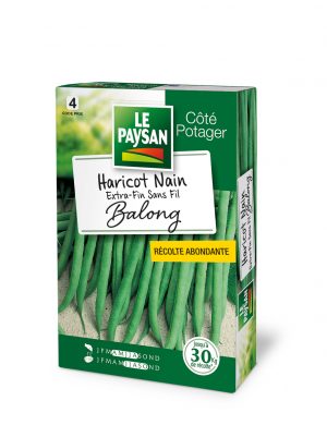 HARICOT NAIN - EXTRA-FIN SANS-FIL BALONG