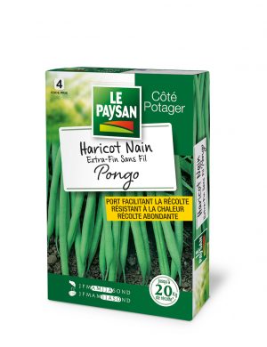 HARICOT NAIN - EXTRA-FIN SANS-FIL PONGO