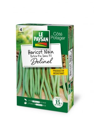 HARICOT NAIN - EXTRA-FIN SANS FIL DELINEL