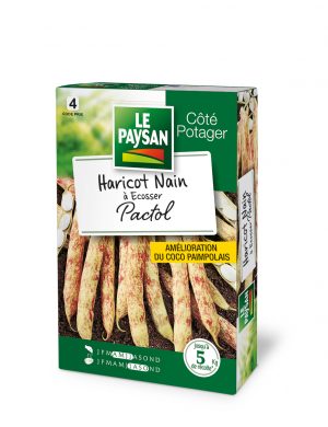 HARICOT NAIN - A ECOSSER PACTOL